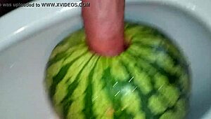 large melons dilettante fuck doxy